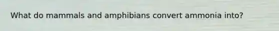 What do mammals and amphibians convert ammonia into?