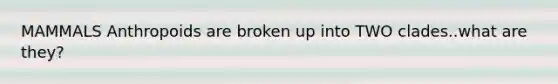 MAMMALS Anthropoids are broken up into TWO clades..what are they?
