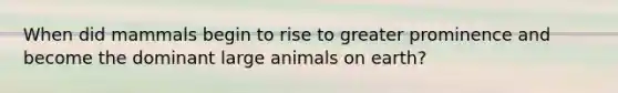 When did mammals begin to rise to greater prominence and become the dominant large animals on earth?