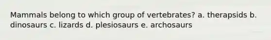 Mammals belong to which group of vertebrates? a. therapsids b. dinosaurs c. lizards d. plesiosaurs e. archosaurs