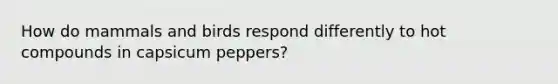 How do mammals and birds respond differently to hot compounds in capsicum peppers?