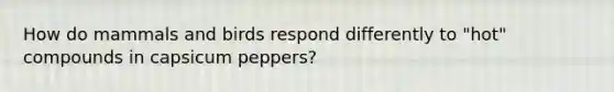 How do mammals and birds respond differently to "hot" compounds in capsicum peppers?