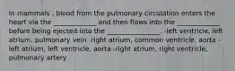 In mammals , blood from the pulmonary circulation enters the heart via the _____________ and then flows into the _____________ before being ejected into the ________________. -left ventricle, left atrium, pulmonary vein -right atrium, common ventricle, aorta -left atrium, left ventricle, aorta -right atrium, right ventricle, pulmonary artery