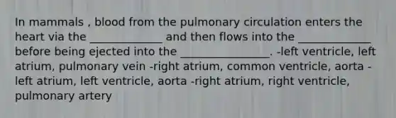 In mammals , blood from the pulmonary circulation enters the heart via the _____________ and then flows into the _____________ before being ejected into the ________________. -left ventricle, left atrium, pulmonary vein -right atrium, common ventricle, aorta -left atrium, left ventricle, aorta -right atrium, right ventricle, pulmonary artery