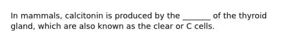 In mammals, calcitonin is produced by the _______ of the thyroid gland, which are also known as the clear or C cells.