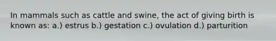 In mammals such as cattle and swine, the act of giving birth is known as: a.) estrus b.) gestation c.) ovulation d.) parturition