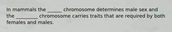 In mammals the ______ chromosome determines male sex and the _________ chromosome carries traits that are required by both females and males.