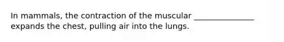 In mammals, the contraction of the muscular _______________ expands the chest, pulling air into the lungs.