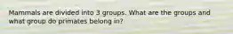 Mammals are divided into 3 groups. What are the groups and what group do primates belong in?