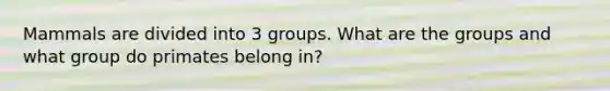 Mammals are divided into 3 groups. What are the groups and what group do primates belong in?