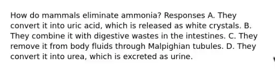 How do mammals eliminate ammonia? Responses A. They convert it into uric acid, which is released as white crystals. B. They combine it with digestive wastes in the intestines. C. They remove it from body fluids through Malpighian tubules. D. They convert it into urea, which is excreted as urine.