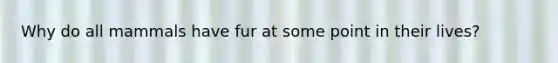 Why do all mammals have fur at some point in their lives?