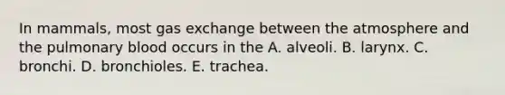 In mammals, most gas exchange between the atmosphere and the pulmonary blood occurs in the A. alveoli. B. larynx. C. bronchi. D. bronchioles. E. trachea.