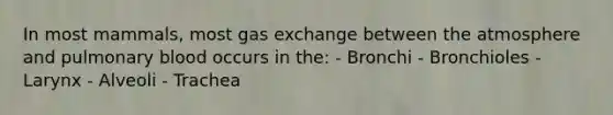 In most mammals, most gas exchange between the atmosphere and pulmonary blood occurs in the: - Bronchi - Bronchioles - Larynx - Alveoli - Trachea