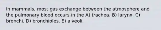 In mammals, most gas exchange between the atmosphere and the pulmonary blood occurs in the A) trachea. B) larynx. C) bronchi. D) bronchioles. E) alveoli.