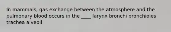 In mammals, gas exchange between the atmosphere and the pulmonary blood occurs in the ____ larynx bronchi bronchioles trachea alveoli