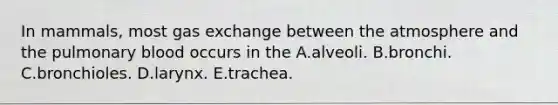 In mammals, most gas exchange between the atmosphere and the pulmonary blood occurs in the A.alveoli. B.bronchi. C.bronchioles. D.larynx. E.trachea.