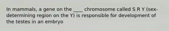 In mammals, a gene on the ____ chromosome called S R Y (sex-determining region on the Y) is responsible for development of the testes in an embryo