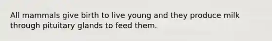 All mammals give birth to live young and they produce milk through pituitary glands to feed them.