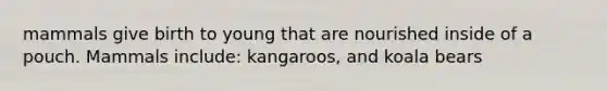 mammals give birth to young that are nourished inside of a pouch. Mammals include: kangaroos, and koala bears