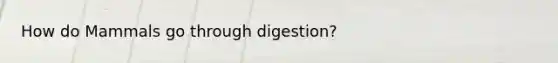 How do Mammals go through digestion?