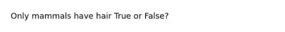 Only mammals have hair True or False?