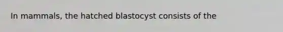 In mammals, the hatched blastocyst consists of the