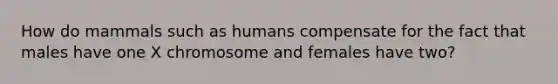 How do mammals such as humans compensate for the fact that males have one X chromosome and females have two?