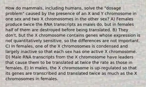 How do mammals, including humans, solve the "dosage problem" caused by the presence of an X and Y chromosome in one sex and two X chromosomes in the other sex? A) Females produce twice the RNA transcripts as males do, but in females half of them are destroyed before being translated. B) They don't, but the X chromosome contains genes whose expression is not quantitatively sensitive, so the differences are not important. C) In females, one of the X chromosomes is condensed and largely inactive so that each sex has one active X chromosome. D) Male RNA transcripts from the X chromosome have leaders that cause them to be translated at twice the rate as those in females. E) In males, the X chromosome is up-regulated so that its genes are transcribed and translated twice as much as the X chromosomes in females.