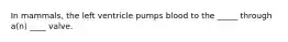 In mammals, the left ventricle pumps blood to the _____ through a(n) ____ valve.