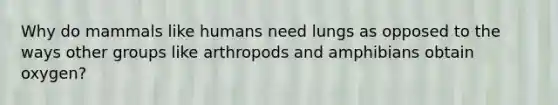 Why do mammals like humans need lungs as opposed to the ways other groups like arthropods and amphibians obtain oxygen?