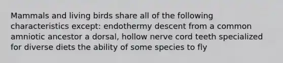 Mammals and living birds share all of the following characteristics except: endothermy descent from a common amniotic ancestor a dorsal, hollow nerve cord teeth specialized for diverse diets the ability of some species to fly