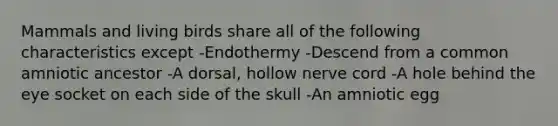 Mammals and living birds share all of the following characteristics except -Endothermy -Descend from a common amniotic ancestor -A dorsal, hollow nerve cord -A hole behind the eye socket on each side of the skull -An amniotic egg