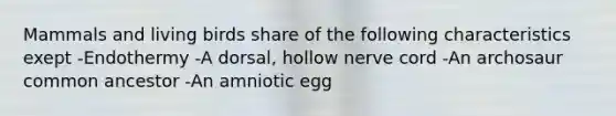 Mammals and living birds share of the following characteristics exept -Endothermy -A dorsal, hollow nerve cord -An archosaur common ancestor -An amniotic egg