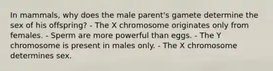 In mammals, why does the male parent's gamete determine the sex of his offspring? - The X chromosome originates only from females. - Sperm are more powerful than eggs. - The Y chromosome is present in males only. - The X chromosome determines sex.