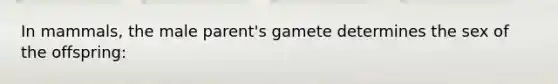 In mammals, the male parent's gamete determines the sex of the offspring:
