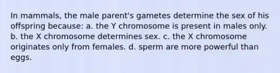 In mammals, the male parent's gametes determine the sex of his offspring because: a. the Y chromosome is present in males only. b. the X chromosome determines sex. c. the X chromosome originates only from females. d. sperm are more powerful than eggs.