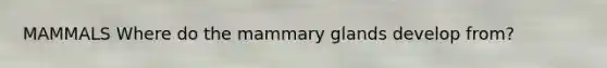 MAMMALS Where do the mammary glands develop from?