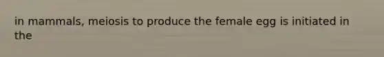 in mammals, meiosis to produce the female egg is initiated in the
