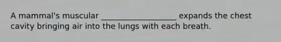 A mammal's muscular ___________________ expands the chest cavity bringing air into the lungs with each breath.