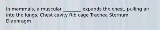 In mammals, a muscular ________ expands the chest, pulling air into the lungs. Chest cavity Rib cage Trachea Sternum Diaphragm