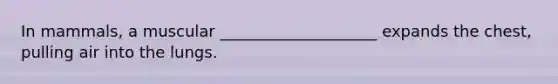 In mammals, a muscular ____________________ expands the chest, pulling air into the lungs.