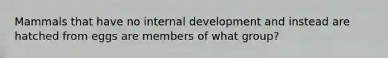 Mammals that have no internal development and instead are hatched from eggs are members of what group?