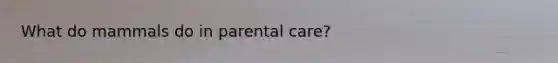 What do mammals do in parental care?