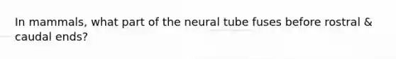 In mammals, what part of the neural tube fuses before rostral & caudal ends?