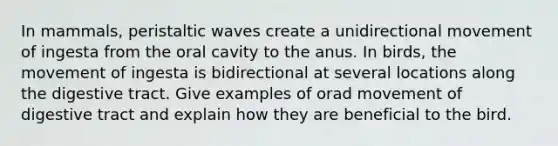 In mammals, peristaltic waves create a unidirectional movement of ingesta from the oral cavity to the anus. In birds, the movement of ingesta is bidirectional at several locations along the digestive tract. Give examples of orad movement of digestive tract and explain how they are beneficial to the bird.