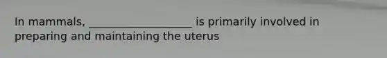 In mammals, ___________________ is primarily involved in preparing and maintaining the uterus