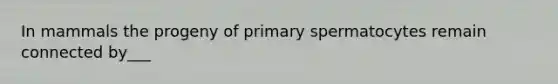 In mammals the progeny of primary spermatocytes remain connected by___