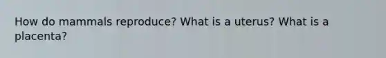 How do mammals reproduce? What is a uterus? What is a placenta?