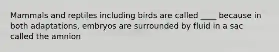 Mammals and reptiles including birds are called ____ because in both adaptations, embryos are surrounded by fluid in a sac called the amnion